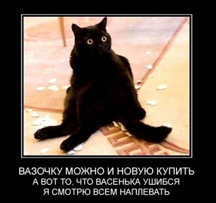 Собака попала под автомобиль