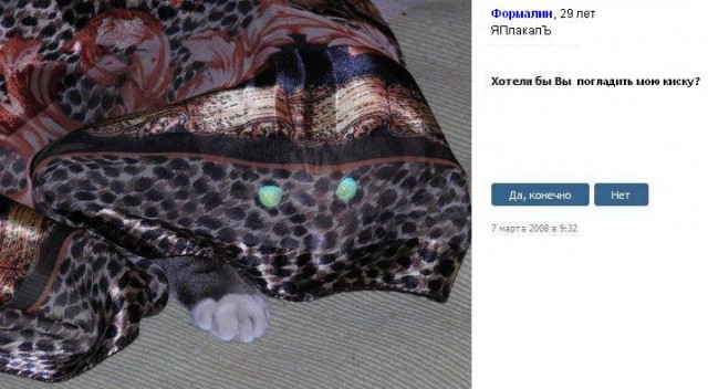 Хотели бы вы?..