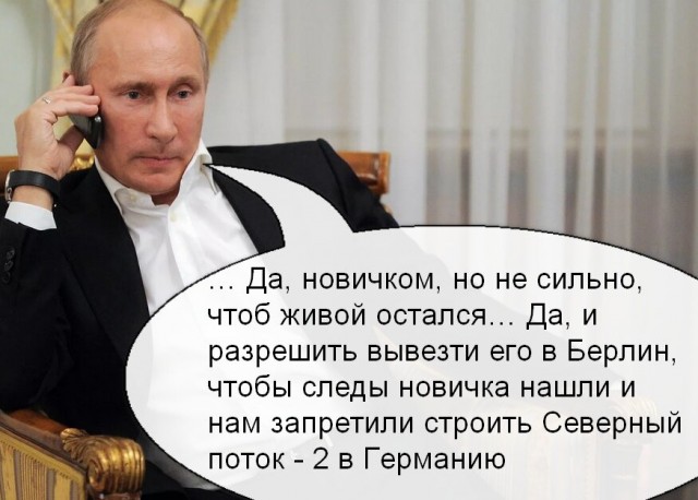 Правительство Германии: Навальный был отравлен ядом, схожим с «Новичком»