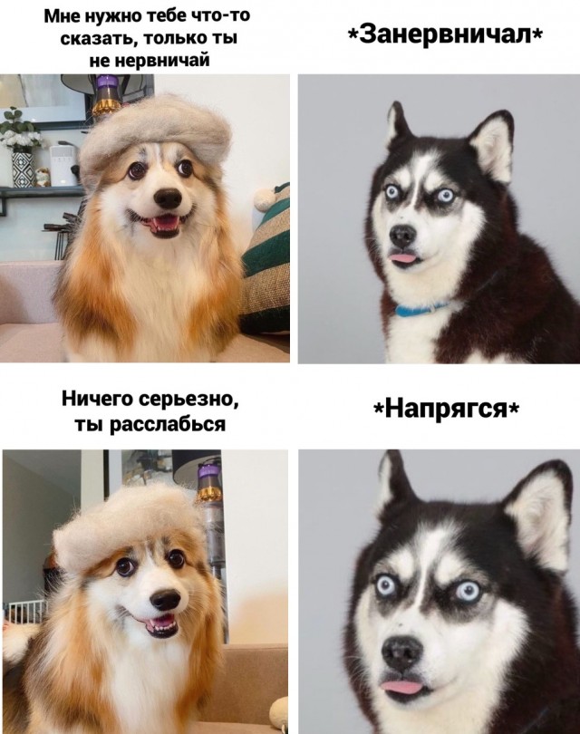 Немного картинок для настроения 14.11.20