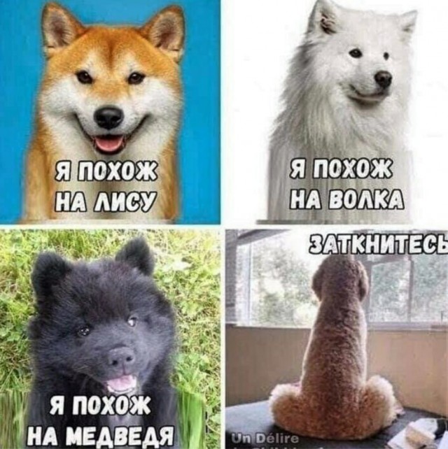 Пятница. И немного слегка пошлых картинок с надписями и без 16+ (11.12)