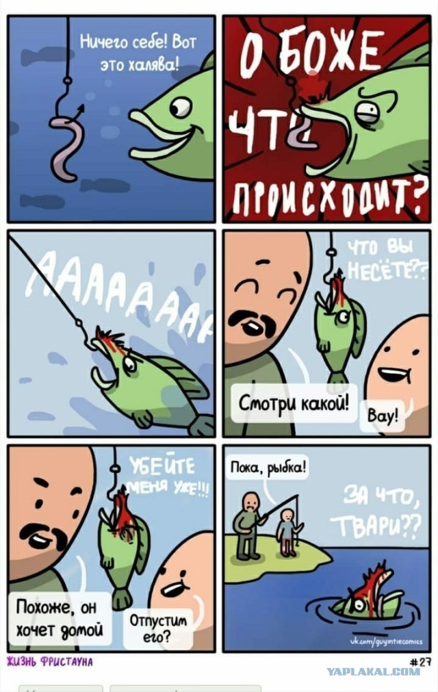 В этом видео прекрасно ВСЁ!
