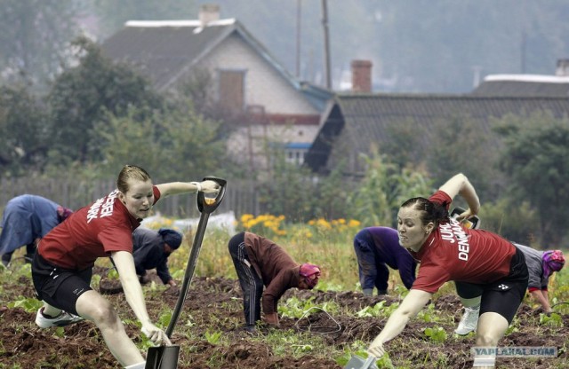 Бадминтон (Жабы)