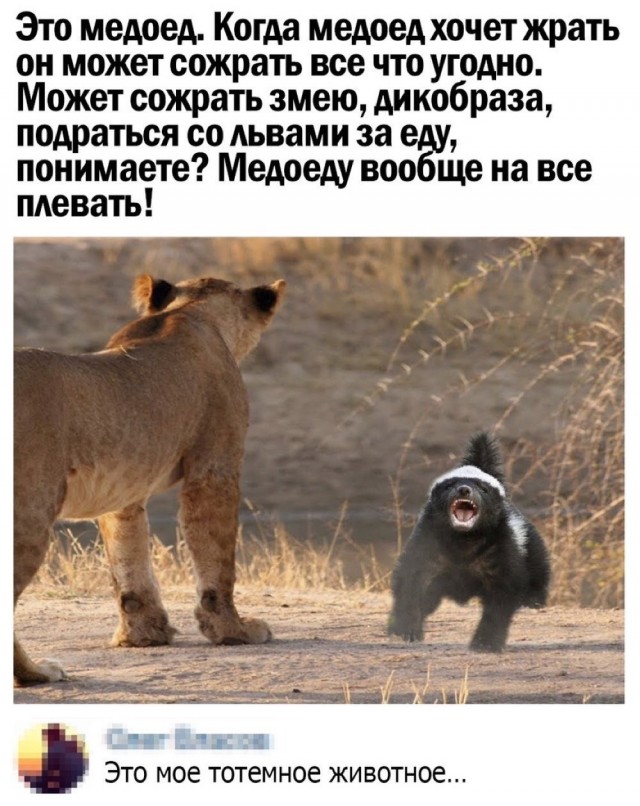 Так себе картинки 09.05.21