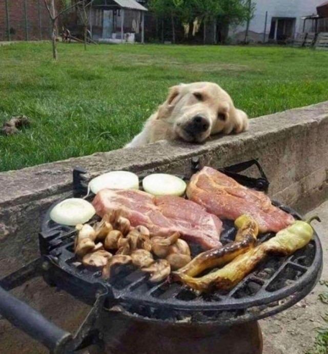 Картинки и мемы для настроения 05.08.2021