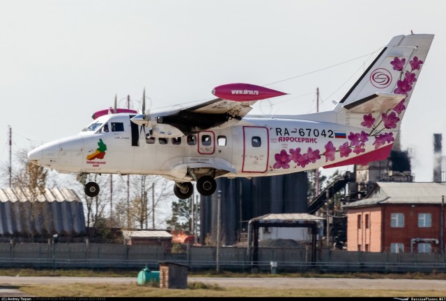 Под Иркутском разбился пассажирский самолёт L-410