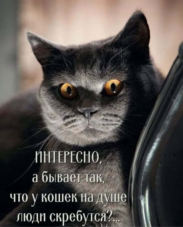 Картинки и мемы 08.10.2021