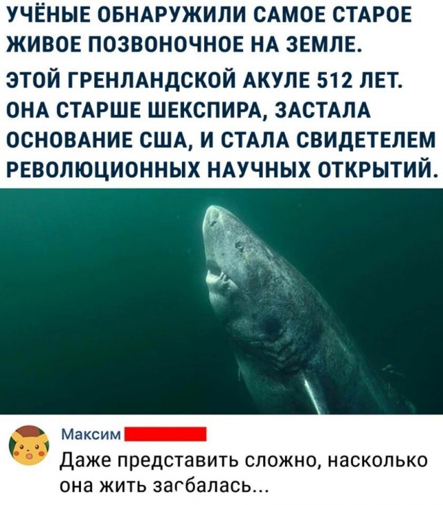 Так себе картинки 15.11.21