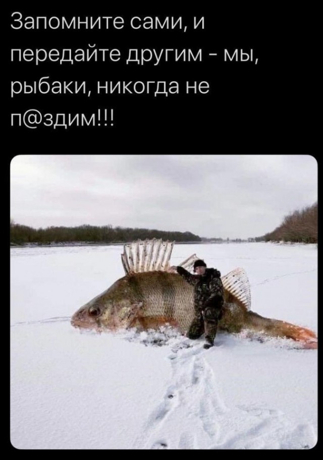 Сбежал с работы на пару часиков и вот что вышло...