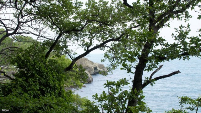 Марсианское озеро.