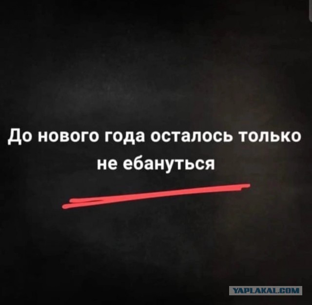 Итоги года