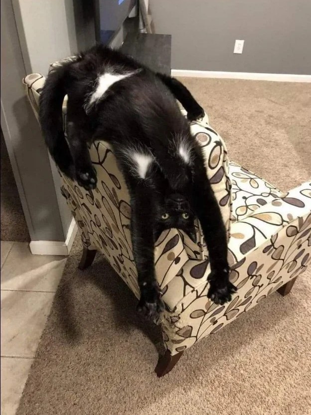 Мини бикини