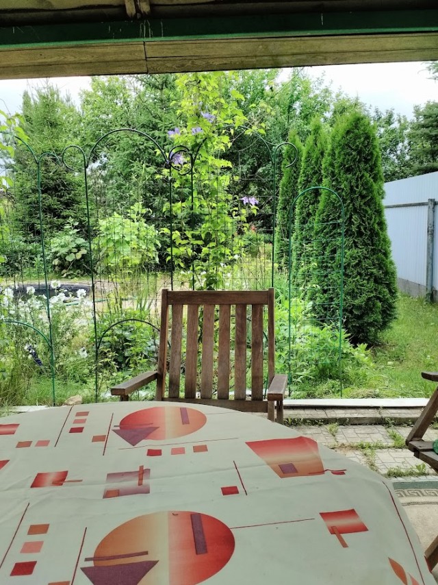 0,2 водки, два пива, сырок и пирожки с мясом (рассказ)