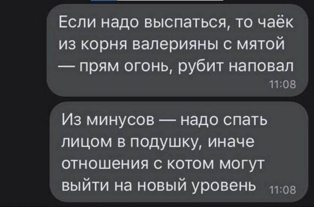Всего понемногу. От 19.10.23
