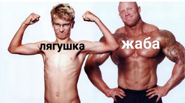 Чем жаба отличается от лягушки