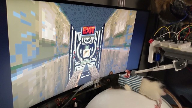 Мем, ставший легендой: Doom можно запустить на чем угодно
