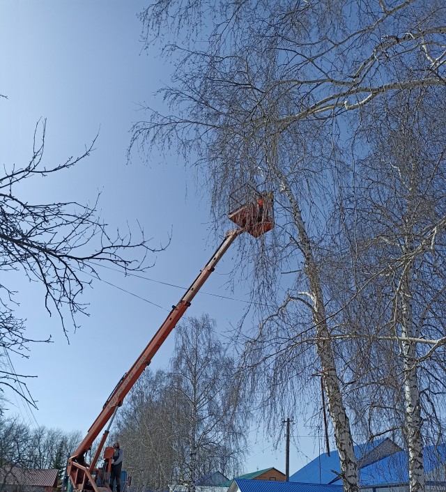 Прицельный спил дерева