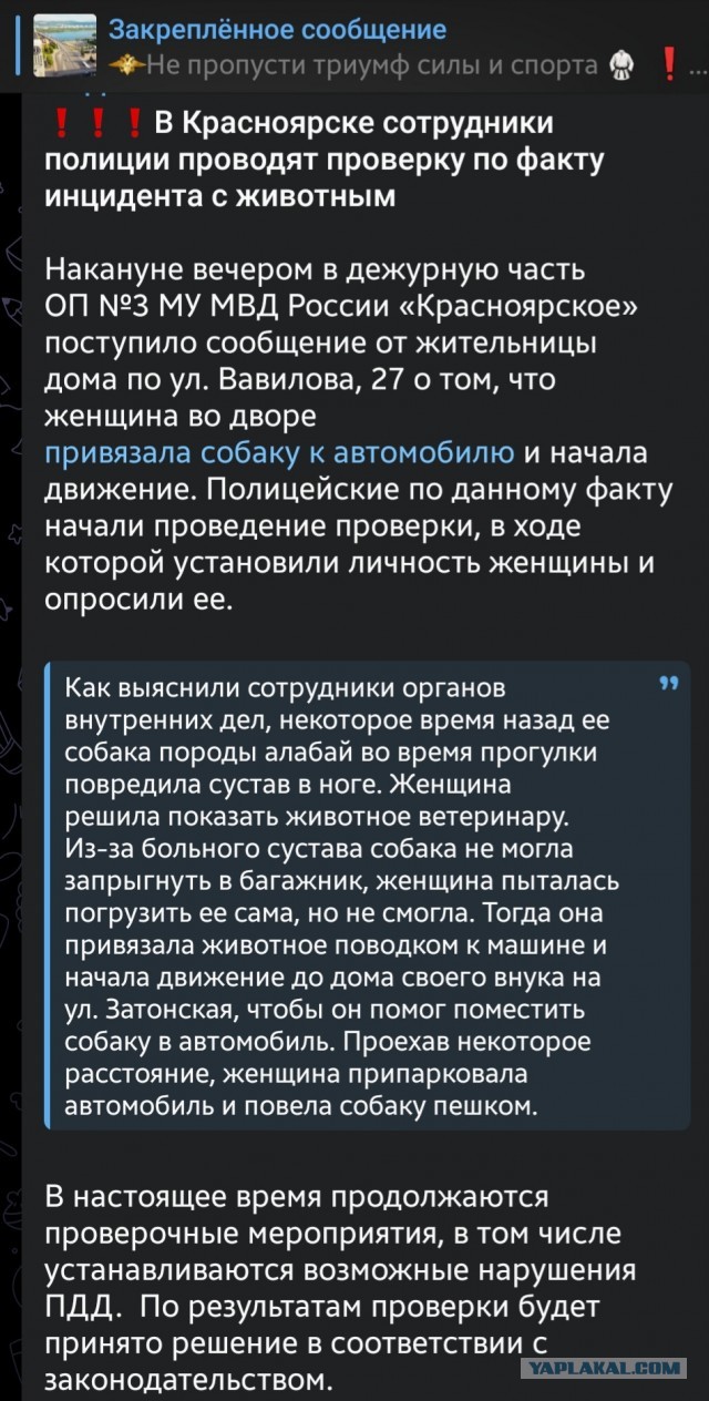 Слов нет - просто конченая