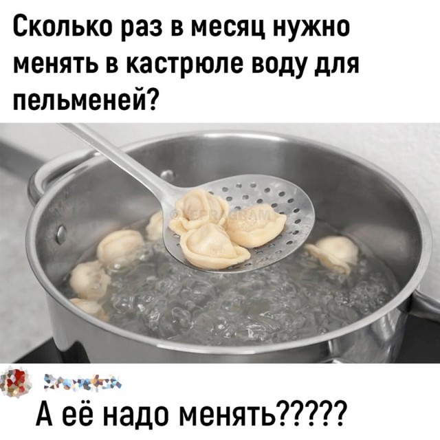 Весёлый полтишок 10.06.24