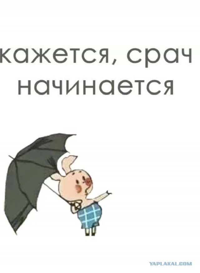 Да будет срач или принципы участия в нём