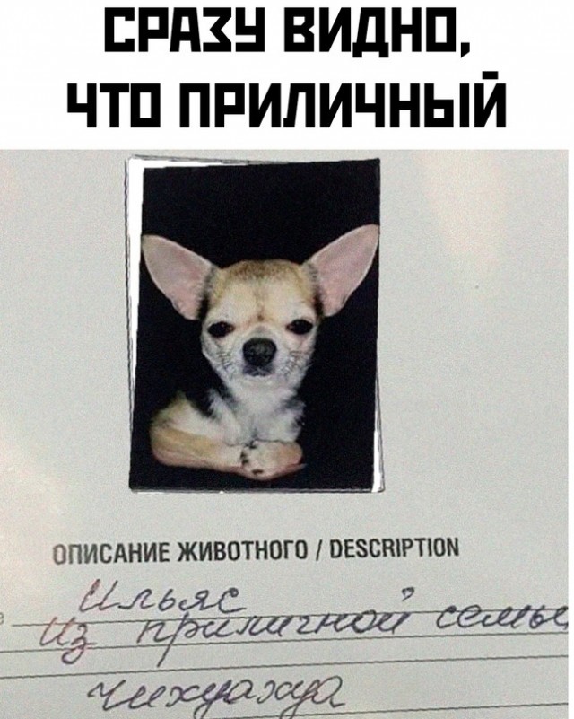 Так себе картинки 28.10.24