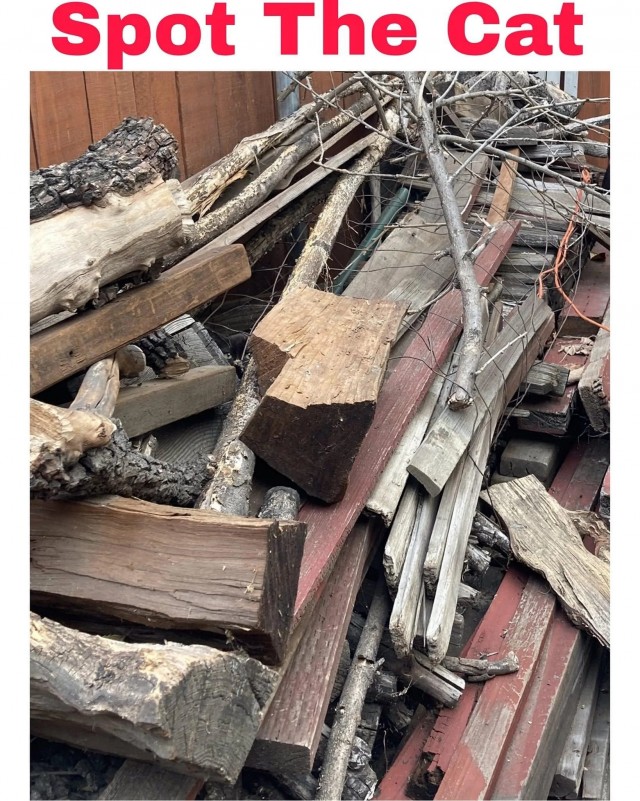 Найди кота
