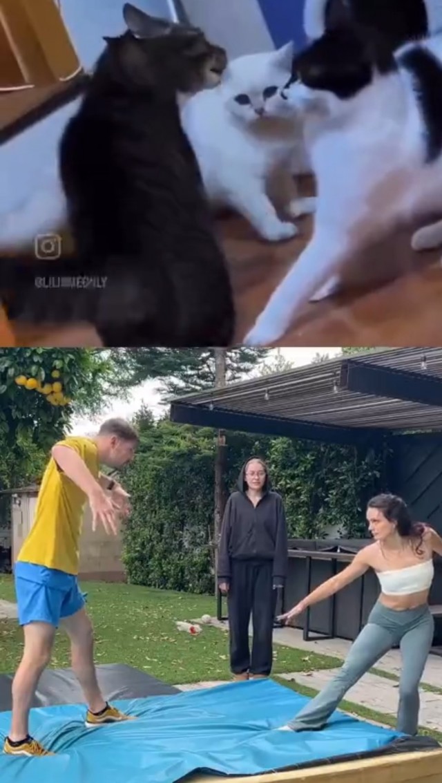 100% схожесть