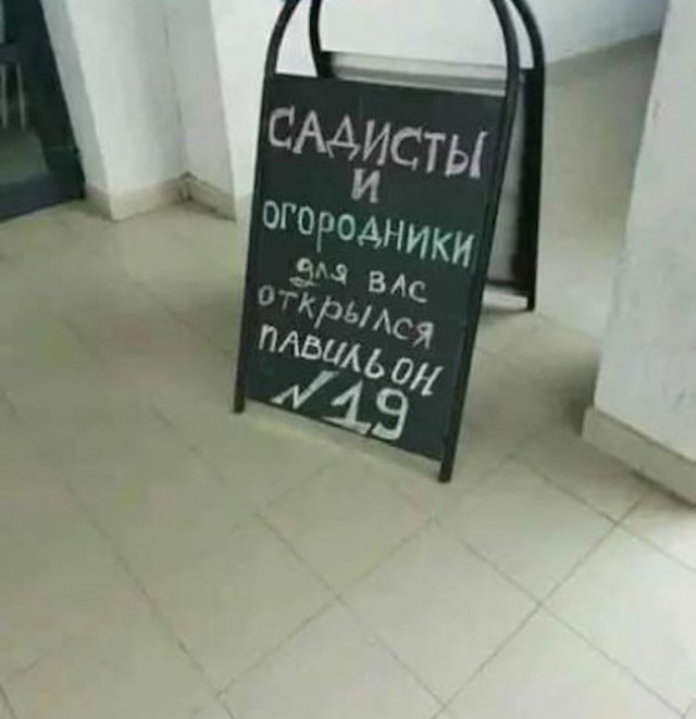 Так себе картинки 23.05.25