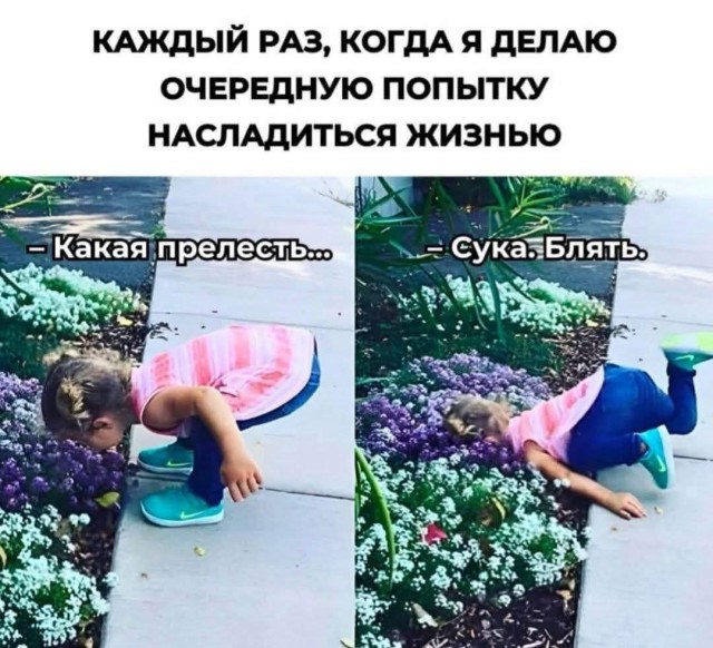 Веселое настроение в картинках (12.07.2025)