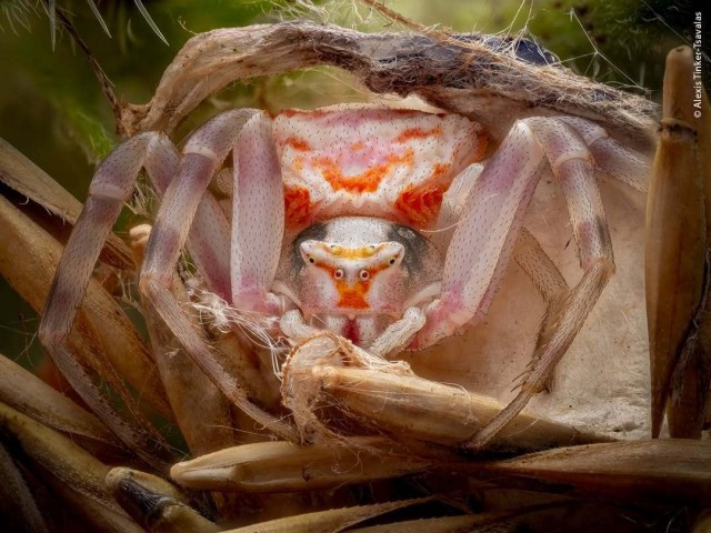 Прикольная фубля