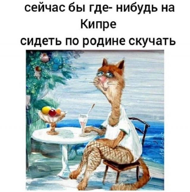Так себе картинки 16.10.25