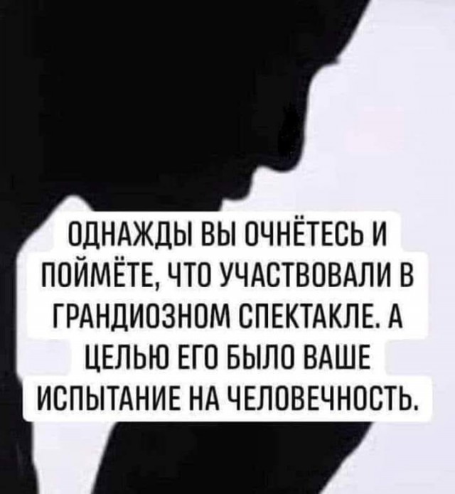 Веселые картинки в понедельник (17.12)
