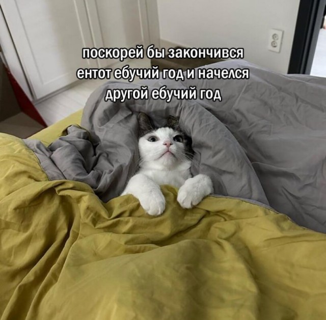 Так себе картинки 16.12.25