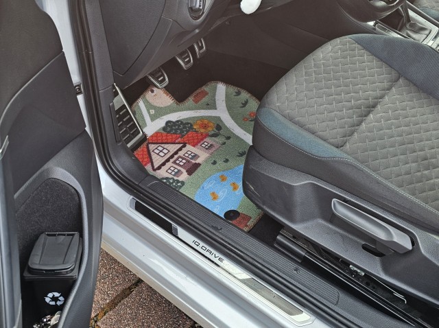 А не сшить ли мне новые коврики в машину?