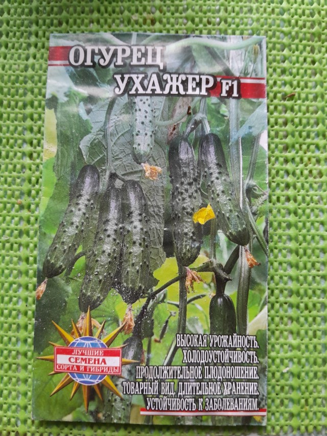 В соцсетях завирусился новый тренд