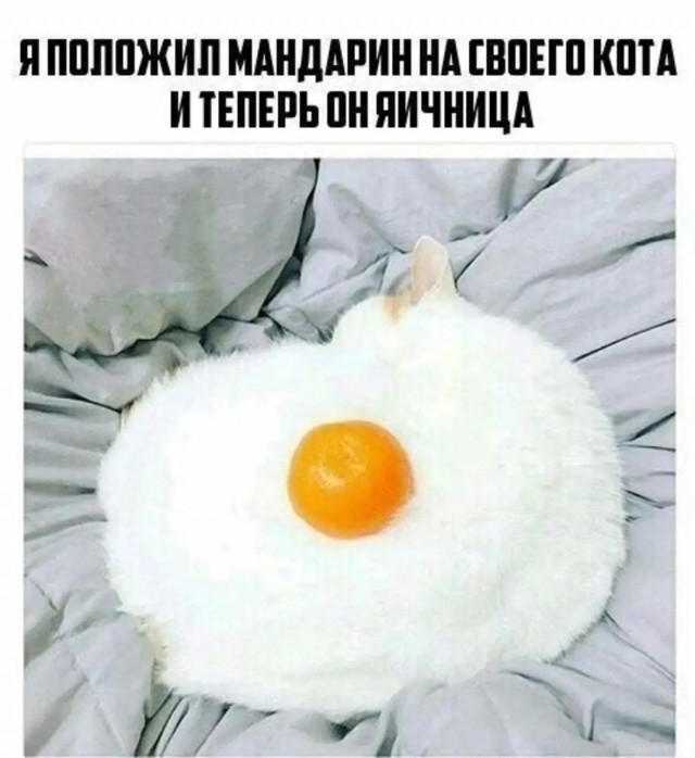 Картинки для деградации 273 (разной степени свежести)