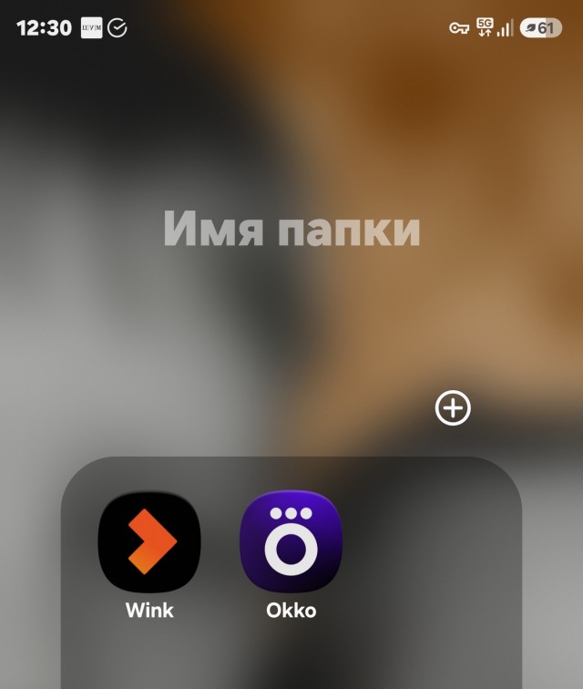 Москвича задержали за пиратство