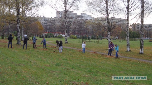 А у нас во всю уже на санках катаются