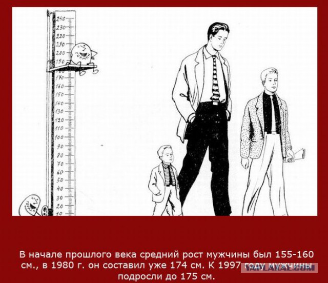 20 фактов обо всем