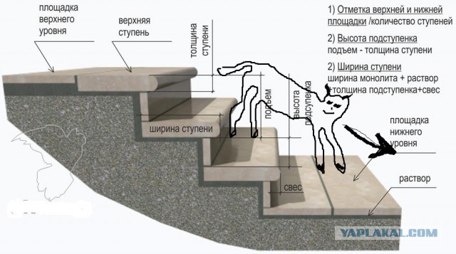 Вопрос который будоражит мировой интернет...