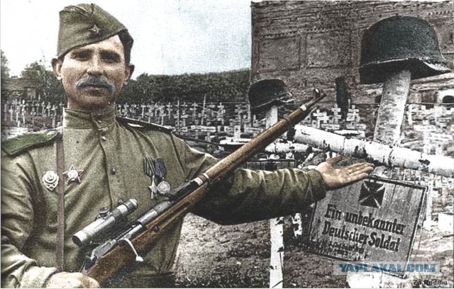 Отчеты о войне