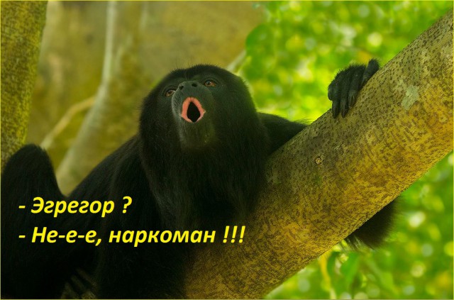 Эксперименты над людьми. Эффект 100-ой обезьяны