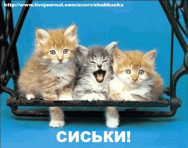 ПЯТНИЦА. Как все начинается!