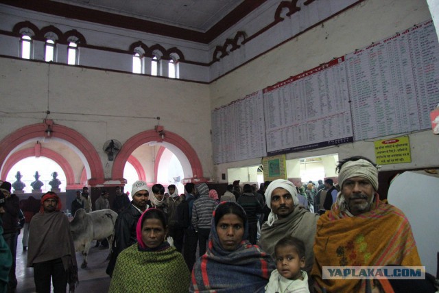 Самостоятельное путешествие в Шри-Ланку