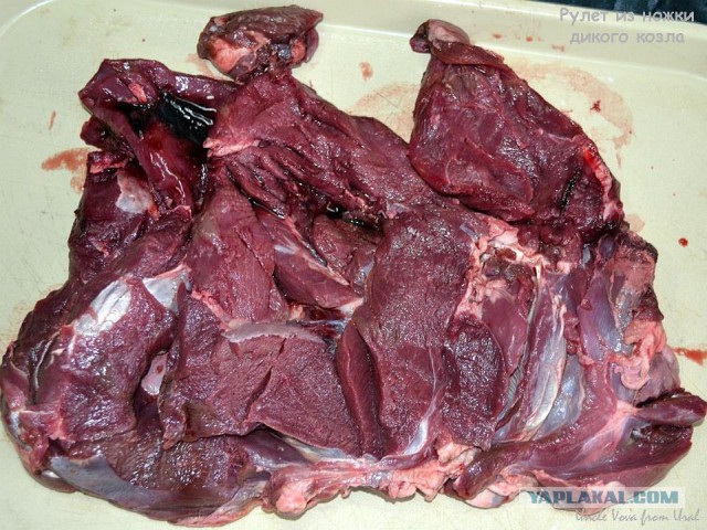 10 лет разделу "Кулинария"