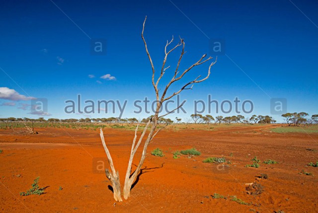 Гранд Каньон в США - древний карьер по промышленной добыче урана