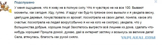 Моменты жизни