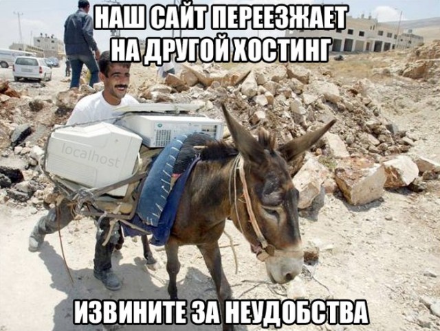 Немного картинок в эту пятницу