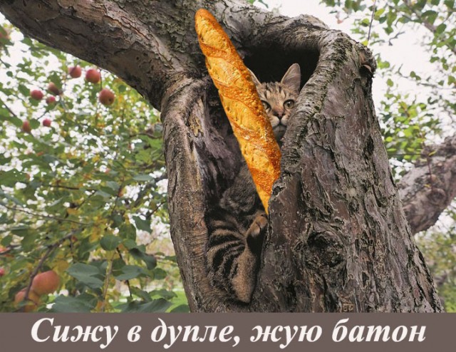Чемпионат Мира по футболу. Россия 2018 (часть 4)