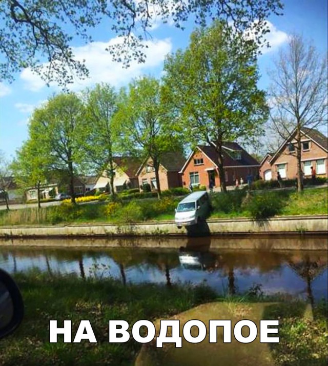 Прикольные картинки абавсём
